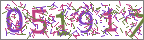 Security code image