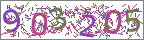 Security code image